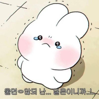 User thumbnail image