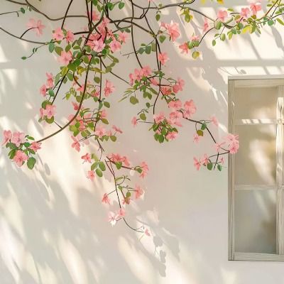 🌸🌱🩷