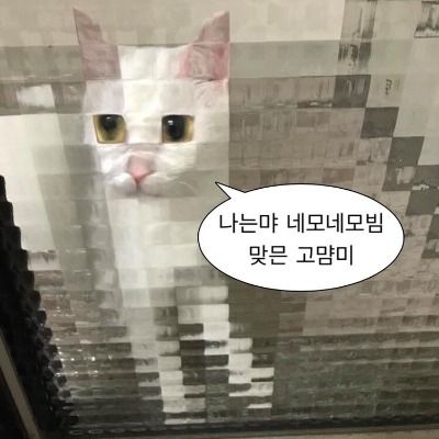 접) 온온