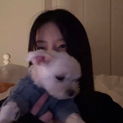 유보카도