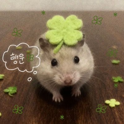 무리모집