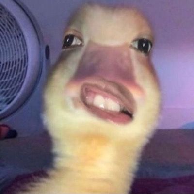 특문 받아갈래 말래