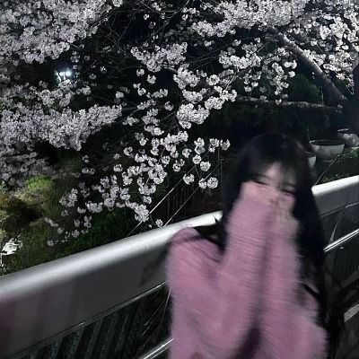백도을 / 실솥