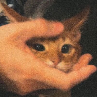 Curious thumbnail