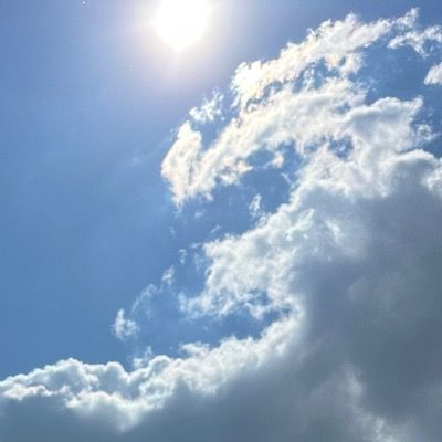 User thumbnail image