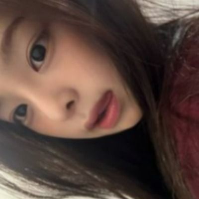 안 이 채
