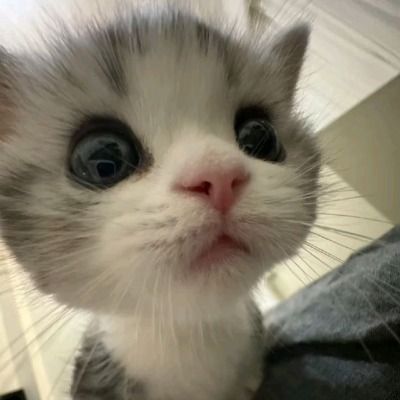 Curious thumbnail