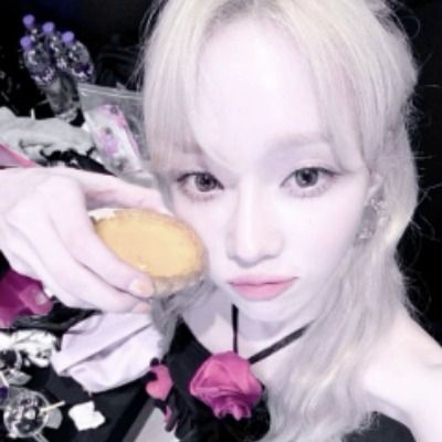 설모찌의 QNA