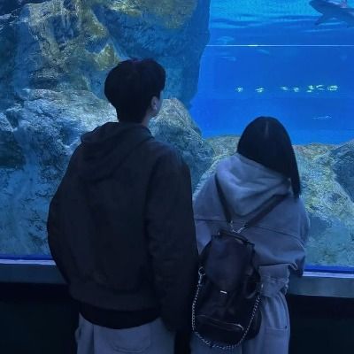 백화 & 시루