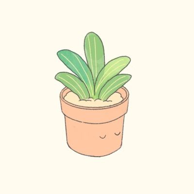 User thumbnail image