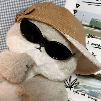 |자랑계|