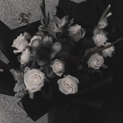 User thumbnail image