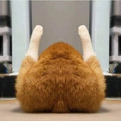 그냥 다오데 좋아하시는 분,,