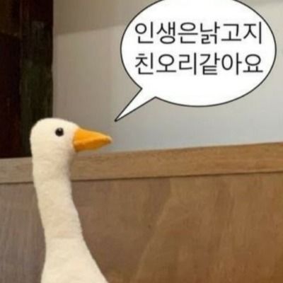User thumbnail image