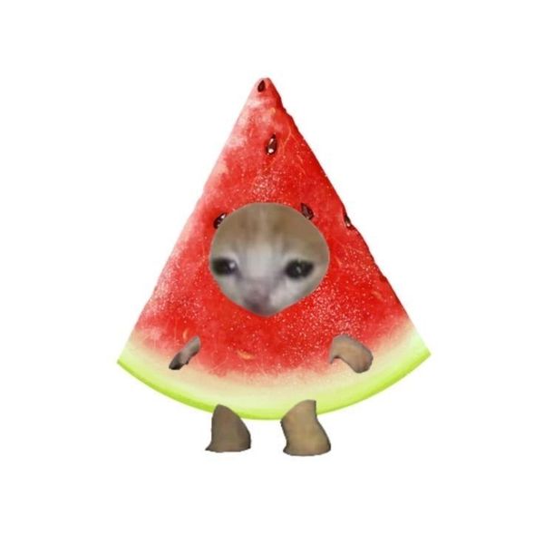 수박바 테마