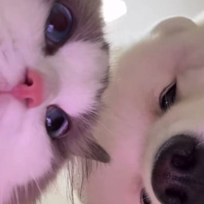 Curious thumbnail