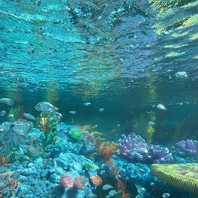 🌊