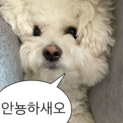 심심한 저와 놀아줄 착한 사람