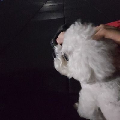 ㅇㅈㅇ