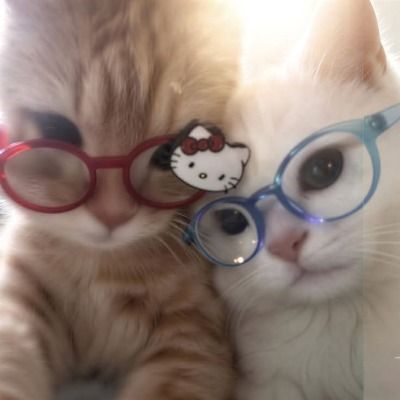 애인 자랑계