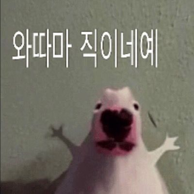 난 널 버리지 않아 팸 2차 모집