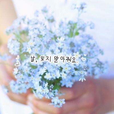 괭이