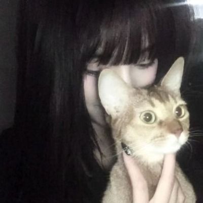 주인장 백화 🌸