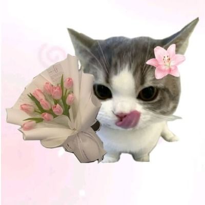 User thumbnail image
