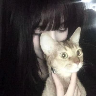 백화