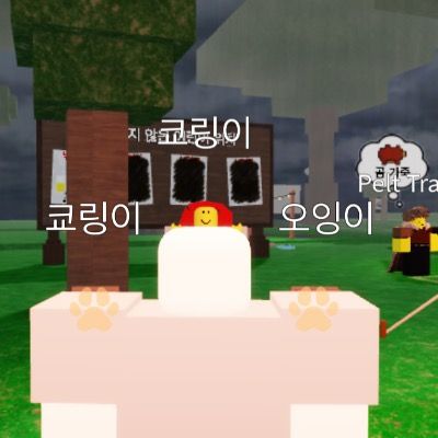 오잉x10