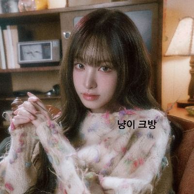 냥이 큐리