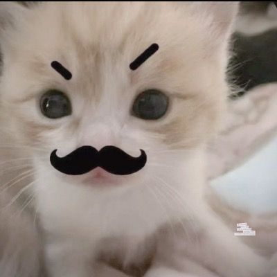 아티 윤아기