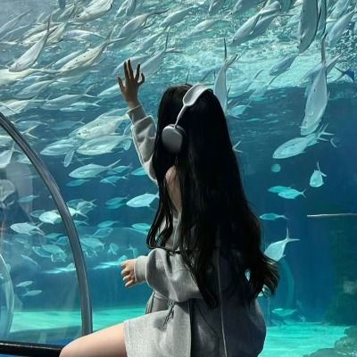 태은.log🐠