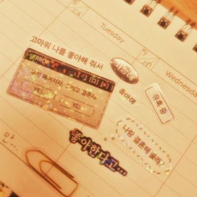 이상한 나라의 사탕