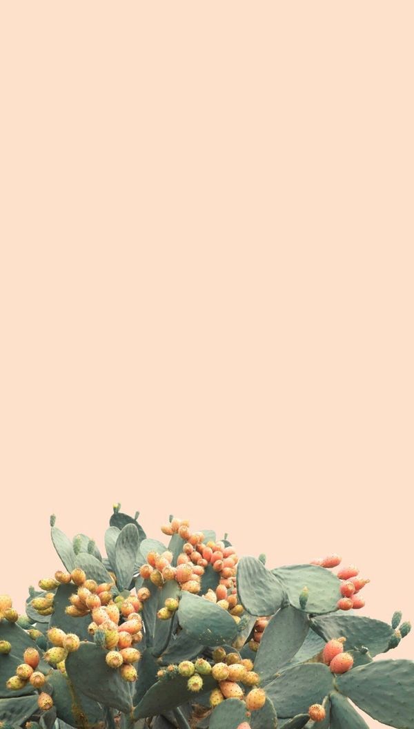 깔끔주황테마