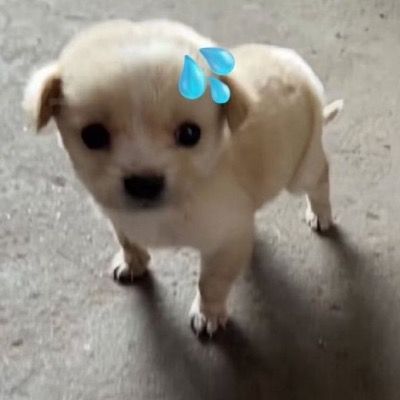 User thumbnail image