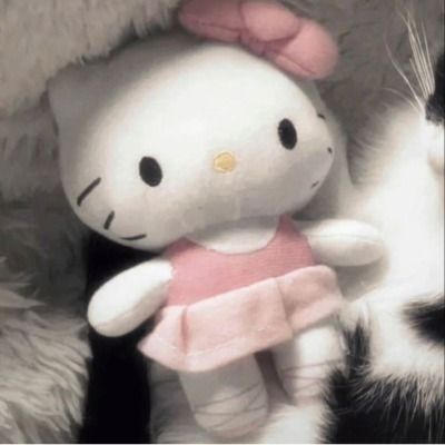 설레임🍥
