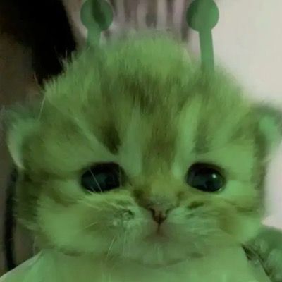 유키