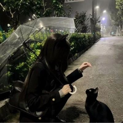 백세은