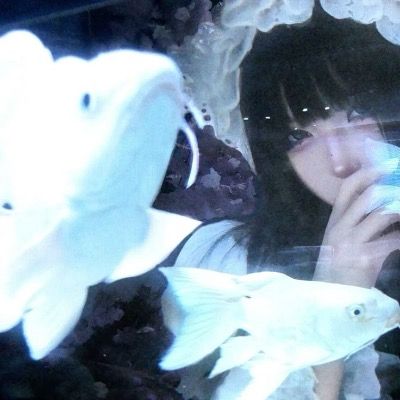 설운채