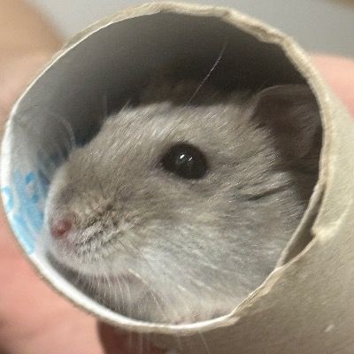 김노농