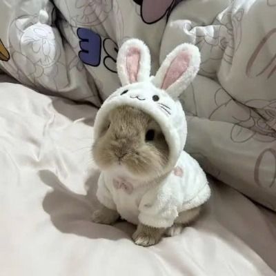당토