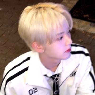 들마이