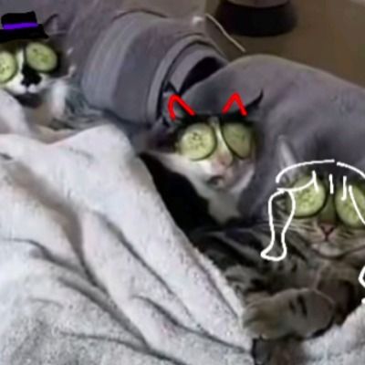 정신병원 3인방
