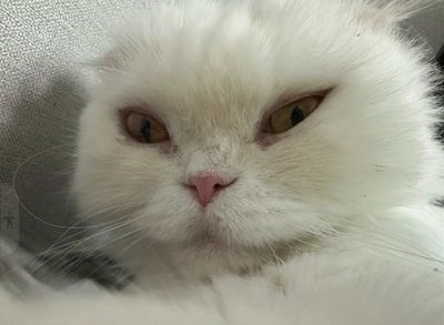 User thumbnail image