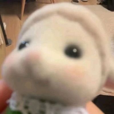 오시온 몰래 올리는 자랑계