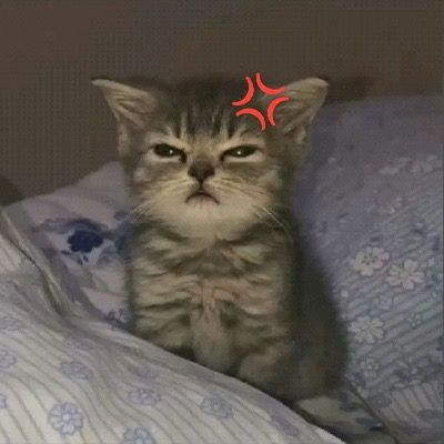 미야우