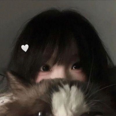 이헌