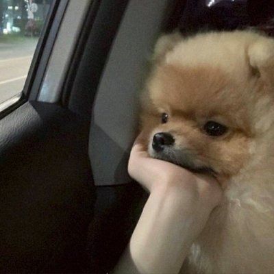 팔