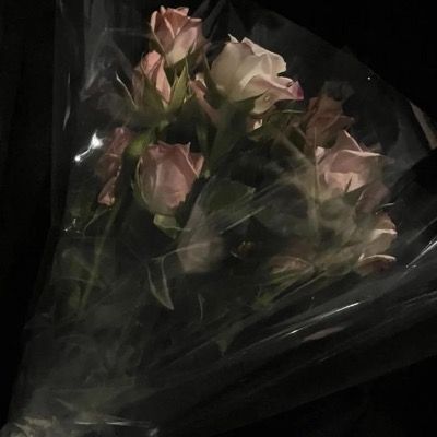 id7 노리